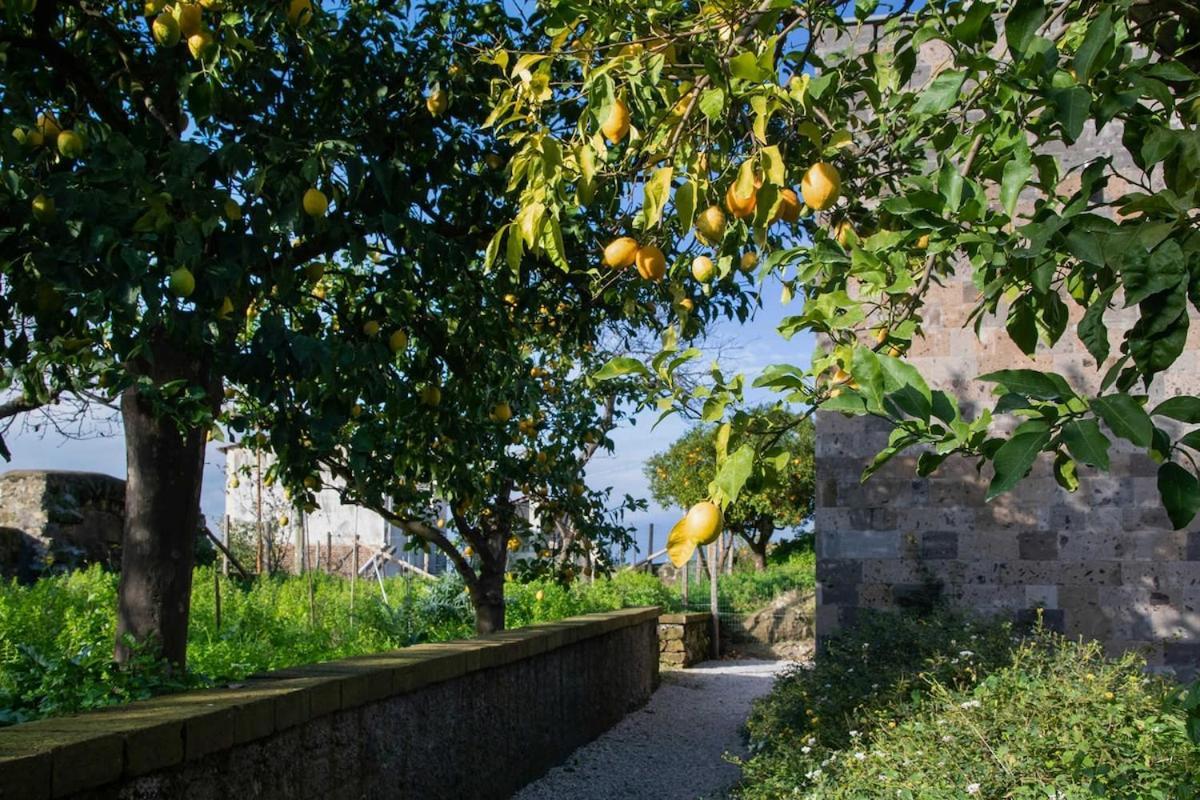Domus Maresca Villa Sant'Agnello Exterior photo